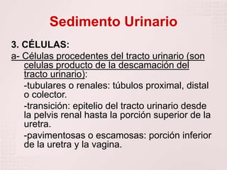 Sedimento Urinario
3. CÉLULAS:
a- Células procedentes del tracto urinario (son
celulas producto de la descamación del
tracto urinario):
-tubulares o renales: túbulos proximal, distal
o colector.
-transición: epitelio del tracto urinario desde
la pelvis renal hasta la porción superior de la
uretra.
-pavimentosas o escamosas: porción inferior
de la uretra y la vagina.
 