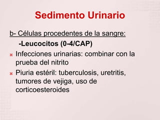 Sedimento Urinario
b- Células procedentes de la sangre:
-Leucocitos (0-4/CAP)
 Infecciones urinarias: combinar con la
prueba del nitrito
 Piuria estéril: tuberculosis, uretritis,
tumores de vejiga, uso de
corticoesteroides
 