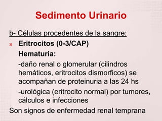 Sedimento Urinario
b- Células procedentes de la sangre:
 Eritrocitos (0-3/CAP)
Hematuria:
-daño renal o glomerular (cilindros
hemáticos, eritrocitos dismorficos) se
acompañan de proteinuria a las 24 hs
-urológica (eritrocito normal) por tumores,
cálculos e infecciones
Son signos de enfermedad renal temprana
 