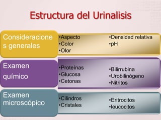 •Aspecto
•Color
•Olor
•Densidad relativa
•pH
Consideracione
s generales
•Proteínas
•Glucosa
•Cetonas
•Bilirrubina
•Urobilinógeno
•Nitritos
Examen
químico
•Cilindros
•Cristales
•Eritrocitos
•leucocitos
Examen
microscópico
Estructura del Urinalisis
 