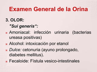 Examen General de la Orina
3. OLOR:
"Sui generis“:
 Amoniacal: infección urinaria (bacterias
ureasa positivas)
 Alcohol: intoxicación por etanol
 Dulce: cetonuria (ayuno prolongado,
diabetes mellitus).
 Fecaloide: Fístula vesico-intestinales
 