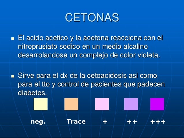 Cetonas En Orina Como Se Ven