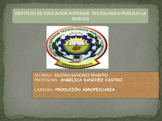 INSTITUTO DE EDUCACIÓN SUPERIOR TECNOLOGICO PUBLICO LA
                        MERCED




       ALUMNA : SILENIA SANCHEZ MARIÑO
       PROFESORA: ANGELICA SANCHEZ CASTRO

       CARRERA: PRODUCIÓN AGROPECUARIA
 