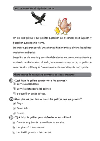 Un día una gallina y sus pollitos paseaban en el campo; ellos jugaban y
buscaban gusanos en la tierra.
De pronto, pasaron por ahí unos cuervos hambrientos y al ver a los pollitos
quisieron comérselos.
La gallina se dio cuenta y corrió a defenderlos cacareando muy fuerte y
moviendo mucho las alas; al verla, los cuervos se asustaron, no pudieron
comerse a los pollitos y se fueron volando a buscar alimento a otra parte.
¿Qué hizo la gallina cuando vio a los cuervos?
Corrió a esconderse.
Corrió a defender a los pollitos.
Se quedó en donde estaba.
a
b
c
Ahora marca la respuesta correcta de cada pregunta.
¿Qué piensas que iban a hacer los pollitos con los gusanos?
Jugar
Comérselo
Pasear
a
b
c
¿Qué hizo la gallina para defender a los pollitos?
Cacareo muy fuerte y movió mucho sus alas.
Les picoteó a los cuervos.
Les invitó gusanos a los cuervos.
a
b
c
Lee con atención el siguiente texto.
20
19
18
 