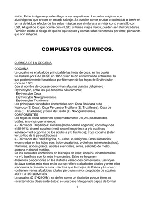 9
vivido. Estas imágenes pueden llegar a ser angustiosas. Las setas mágicas son
alucinógenos que crecen en estado salvaje. Se pueden comer crudas o cocinadas o servir en
forma de té. Los efectos de las setas mágicas son similares a un viaje corto y sencillo con
LSD. Al igual de lo que ocurre con el LSD, si tienes viajes malos, pueden ser aterrorizadores.
También existe el riesgo de que te equivoques y comas setas venenosas por error, pensando
que son mágicas.
COMPUESTOS QUIMICOS.
QUÍMICA DE LA COCAÍNA
COCAINA
La cocaína es el alcaloide principal de las hojas de coca, en las cuales
fue hallada por GAEDCKE en 1855 quien le dio el nombre de eritroxilina, la
que posteriormente fue aislada por Niemann de las hojas de Erythroxylon
coca en 1860.
Con el nombre de coca se denominan algunas plantas del género
Erythroxylon, entre las que tenemos básicamente:
· Erythroxylon Coca
· Erythroxylon Novogranatense.
· Erythroxylon Truxillense
Las principales variedades comerciales son: Coca Boliviana o de
Huánuco (E. Coca), Coca Peruana o Trujillana (E. Truxillense), Coca de
Java (E. Truxillense) y Coca de Ceilán (E. Novogranatense).
COMPONENTES
Las hojas de coca contienen aproximadamente 0,5-2% de alcaloides
totales, entre los que tenemos:
a.- Derivados Tropánicos: Cocaína (metil-benzoil ecgonina) constituyendo
el 50-94%; cinamil cocaína (metil-cinamil ecgonina); a y b truxilinas
(estéreo-metil ecgonina de los ácidos a y b truxílicos); tropa cocaína (éster
benzoílico de la pseudotropina)
b.- Derivados de Pirrol: Higrina, b - iurina, cusohigrina. Otras sustancias
encontradas en las hojas son: ácido cocatánico, proteínas, minerales (calcio),
vitaminas, ácidos grasos, aceites esenciales, ceras, salicilato de metilo,
acetona y alcohol metílico.
De los alcaloides contenidos en las hojas de coca; cocaína, cinamilcocaína
y a y b truxilinas son los más importantes. Estos se hayan en
diferentes proporciones en las distintas variedades comerciales. Las hojas
de Java son las más ricas en lo que se refiere a alcaloides totales y entre ellos
predomina la cinamil-cocaína; mientras que las hojas de Bolivia y Huánuco
contienen menos alcaloides totales, pero una mayor proporción de cocaína.
ASPECTOS QUIMICOS
La cocaína (C17H21O4N); se define como un alcaloide porque tiene las
características clásicas de éstos: es una base nitrogenada capaz de formar
 