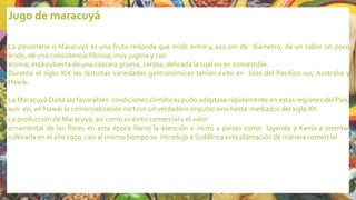 Jugo de maracuyá
La pasionaria o Maracuyá es una fruta redonda que mide entre 4 a10 cm de diámetro, de un sabor un poco
ácido, de una consistencia fibrosa, muy jugosa y con
aroma, está cubierta de una cáscara gruesa, cerosa, delicada la cual no es comestible.
Durante el siglo XIX las distintas variedades gastronómicas tenían éxito en Islas del Pacifico sur, Australia y
Hawái.
La Maracuyá Dada las favorables condiciones climáticas pudo adaptase rápidamente en estas regiones del País,
aun así, en Hawái la comercialización no tuvo un verdadero impulso sino hasta mediados del siglo XX.
La producción de Maracuyá, así como su éxito comercial y el valor
ornamental de las flores en esta época llamo la atención e incitó a países como Uganda y Kenia a intentar
cultivarla en el año 1950, casi al mismo tiempo se introdujo a Sudáfrica esta plantación de manera comercial.
17
 