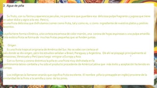3. Agua de piña
Su fruto, con su forma y apariencia peculiar, no pareciera que guardara esa deliciosa pulpa fragrante y jugosa que tiene
un sabor dulce y agrio a la vez. Pero sí,
es una fruta deliciosa que disfrutamos comer como fruta, tal y como es, o como ingrediente de nuestros platos y postres
favoritos.
La piña tiene forma cilíndrica, una corteza escamosa de color marrón, una corona de hojas espinosas y una pulpa amarilla.
Esta exótica fruta se forma de muchas frutas pequeñas que se funden juntas.
1. Origen
Es una fruta tropical originaria de América del Sur. No se sabe con certeza el
país donde se dio origen, pero los estudios señalan a Brasil, Paraguay y Argentina. De ahí se propagó principalmente al
Amazonas,Venezuela y Perú para luego emigrar a Europa y Asia.
Con su forma y corona distintiva la piña es una fruta muy disfrutada en la
gastronomía latino-caribeña y ha sido el producto procedente de América Latina que más éxito y aceptación ha tenido en
Europa.
Los indígenas la llamaron ananás que significa fruta excelente. El nombre piña (o pineapple en inglés) proviene de la
similaridad de la fruta a la semilla o cono de los pinos.
20
 