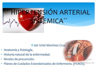Jair Uriel Martínez Cruz.
• Anatomía y fisiología.
• Historia natural de la enfermedad.
• Niveles de prevención.
• Planes de Cuidados Estandarizados de Enfermeria. (PLACE).
´´HIPERTENSIÓN ARTERIAL
SISTEMICA´´
 