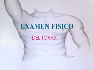 Torax Ex Examen de torax | PPTX