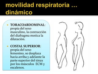    TORACOABDOMINAL:
    propia del sexo
    masculino, la contracción
    del diafragma motica la
    dilatación.

   COSTAL SUPERIOR:
    propia del sexo
    femenino, se desplaza
    hacia arriba y adelante la
    parte superior del tórax
    por los músculos ECM y
    escalenos.
 