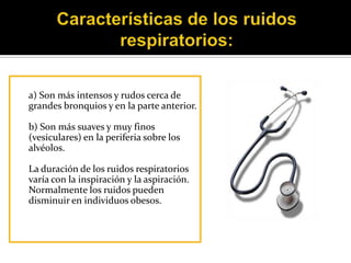 a) Son más intensos y rudos cerca de
grandes bronquios y en la parte anterior.

b) Son más suaves y muy finos
(vesiculares) en la periferia sobre los
alvéolos.

La duración de los ruidos respiratorios
varía con la inspiración y la aspiración.
Normalmente los ruidos pueden
disminuir en individuos obesos.
 