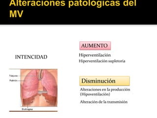 Auscultacion anormal
Alteraciones patológicas del MV




                                  AUMENTO
                              Hiperventilación
  INTENCIDAD
                              Hiperventilación supletoria




                                  Disminución
                              Alteraciones en la producción
                              (Hipoventilación)
                              Alteración de la transmisión
 