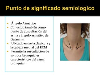    Ángulo Asmático
   Conocido también como
    punto de auscultación del
    asma y ángulo asmático de
    Gutmann
    Ubicado entre la clavícula y
    la cabeza medial del ECM
    Permite la auscultación de
    sonidos bronquiales
    característicos del asma
    bronquial.
 