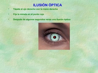 • Tápate el ojo derecho con la mano derecha
• Fija la mirada en el punto rojo
• Después de algunos segundos veras una ilusión óptica
ILUSIÓN ÓPTICA
 