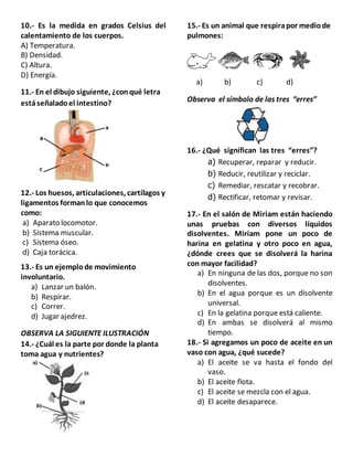 10.- Es la medida en grados Celsius del
calentamiento de los cuerpos.
A) Temperatura.
B) Densidad.
C) Altura.
D) Energía.
11.- En el dibujo siguiente, ¿conqué letra
estáseñaladoel intestino?
12.- Los huesos, articulaciones, cartílagos y
ligamentos formanlo que conocemos
como:
a) Aparato locomotor.
b) Sistema muscular.
c) Sistema óseo.
d) Caja torácica.
13.- Es un ejemplode movimiento
involuntario.
a) Lanzar un balón.
b) Respirar.
c) Correr.
d) Jugar ajedrez.
OBSERVA LA SIGUIENTE ILUSTRACIÓN
14.- ¿Cuál es la parte por donde la planta
toma agua y nutrientes?
15.- Es un animal que respirapor mediode
pulmones:
a) b) c) d)
Observa el símbolo de las tres “erres”
16.- ¿Qué significan las tres “erres”?
a) Recuperar, reparar y reducir.
b) Reducir, reutilizar y reciclar.
c) Remediar, rescatar y recobrar.
d) Rectificar, retomar y revisar.
17.- En el salón de Miriam están haciendo
unas pruebas con diversos líquidos
disolventes. Miriam pone un poco de
harina en gelatina y otro poco en agua,
¿dónde crees que se disolverá la harina
con mayor facilidad?
a) En ninguna de las dos, porque no son
disolventes.
b) En el agua porque es un disolvente
universal.
c) En la gelatina porque está caliente.
d) En ambas se disolverá al mismo
tiempo.
18.- Si agregamos un poco de aceite en un
vaso con agua, ¿qué sucede?
a) El aceite se va hasta el fondo del
vaso.
b) El aceite flota.
c) El aceite se mezcla con el agua.
d) El aceite desaparece.
 