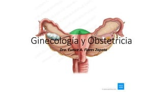 Ginecología y Obstetricia
Dra. Eunice A. Flores Zapata
 