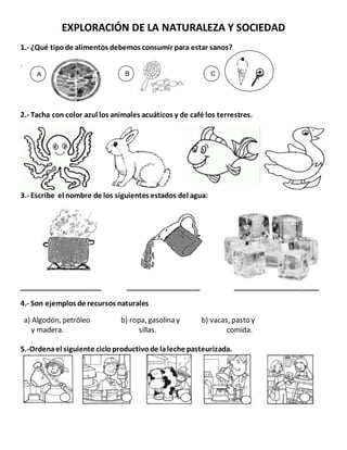 EXPLORACIÓN DE LA NATURALEZA Y SOCIEDAD
1.- ¿Qué tipode alimentos debemos consumir para estar sanos?
.
2.- Tacha con color azul los animales acuáticos y de café los terrestres.
3.- Escribe el nombre de los siguientes estados del agua:
_____________________ ___________________ ______________________
4.- Son ejemplos de recursos naturales
a) Algodón, petróleo b) ropa, gasolina y b) vacas, pasto y
y madera. sillas. comida.
5.-Ordenael siguiente cicloproductivode laleche pasteurizada.
A B C
 