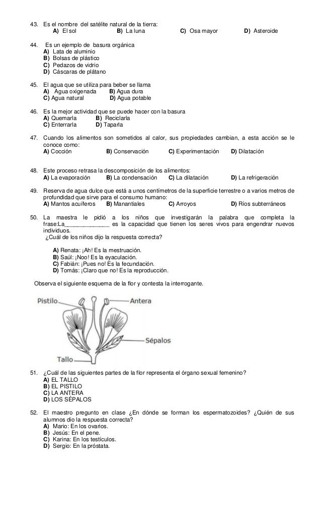 examen final preguntas abiertas quinto grado examen diagnostico quinto grado examen final preguntas abiertas quinto grado examen diagnostico quinto grado