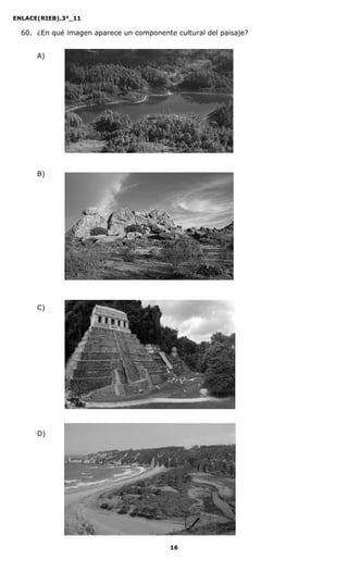 ENLACE(RIEB).3°_11
16
60. ¿En qué imagen aparece un componente cultural del paisaje?
A)
B)
C)
D)
 