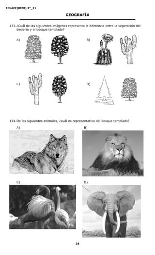 ENLACE(RIEB).3°_11
38
GEOGRAFÍA
133.¿Cuál de las siguientes imágenes representa la diferencia entre la vegetación del
desierto y el bosque templado?
A) B)
C) D)
134.De los siguientes animales, ¿cuál es representativo del bosque templado?
A) B)
C) D)
 