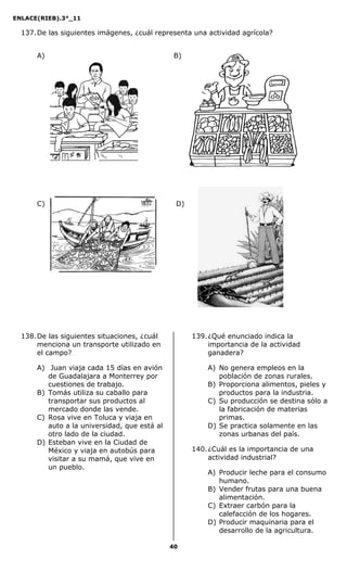 ENLACE(RIEB).3°_11
40
137.De las siguientes imágenes, ¿cuál representa una actividad agrícola?
A) B)
C) D)
138.De las siguientes situaciones, ¿cuál
menciona un transporte utilizado en
el campo?
A) Juan viaja cada 15 días en avión
de Guadalajara a Monterrey por
cuestiones de trabajo.
B) Tomás utiliza su caballo para
transportar sus productos al
mercado donde las vende.
C) Rosa vive en Toluca y viaja en
auto a la universidad, que está al
otro lado de la ciudad.
D) Esteban vive en la Ciudad de
México y viaja en autobús para
visitar a su mamá, que vive en
un pueblo.
139.¿Qué enunciado indica la
importancia de la actividad
ganadera?
A) No genera empleos en la
población de zonas rurales.
B) Proporciona alimentos, pieles y
productos para la industria.
C) Su producción se destina sólo a
la fabricación de materias
primas.
D) Se practica solamente en las
zonas urbanas del país.
140.¿Cuál es la importancia de una
actividad industrial?
A) Producir leche para el consumo
humano.
B) Vender frutas para una buena
alimentación.
C) Extraer carbón para la
calefacción de los hogares.
D) Producir maquinaria para el
desarrollo de la agricultura.
 