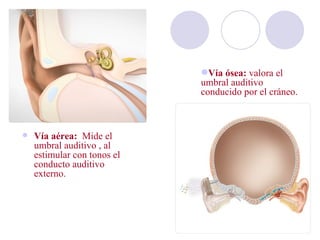 Vía ósea: valora el
                             umbral auditivo
                             conducido por el cráneo.



   Vía aérea: Mide el
    umbral auditivo , al
    estimular con tonos el
    conducto auditivo
    externo.
 
