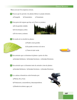107
CIENCIAS NATURALES
Marca con uan X la respuesta correcta.
1 Proceso que les permite a las plantas fabricar su propio alimento.
a) Fotografía b) Fotosintético c) Fotosíntesis
2 Gran parte del oxígeno que hay en la Tierra se produce:
a) En las grandes ciudades
b) En los bosques y selvas
c) En los mares y océanos
3 Por medio de la cloroﬁla las plantas:
a) Pueden crecer grandes
b) Se pueden terminar en la tierra
c) Tienen el color verde
4 Son animales que se alimentan de plantas o partes de ellas.
5 Son animales que se alimentan tanto de animales como de plantas:
a) Animales Herbívoros b) Animales Carnívoros c) Animales Omnívoros
a) Animales Herbívoros b) Animales Carnívoros c) Animales Omnívoros
6 Las cadenas alimenticias están formadas por:
a) Plantas, ﬂor y fruto
b) Productores, consumidores y descomponedores
c) Dióxido de carbono, agua y sol
 