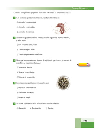 163
CIENCIAS NATURALES
Contesta las siguientes preguntas marcando con una X la respuesta correcta:
1 Los animales que no tienen huesos, reciben el nombre de:
a) Animales invertebrados
b) Animales vertebrados
c) Animales domésticos
2 Las moscas pueden caminar sobre cualquier superﬁcie, incluso el techo,
gracias a que:
a) Son pequeñas y no pesan
b) Tienen alas para volar
c) Tienen pequeñas tenazas aﬁladas
3 El cuerpo humano tiene un sistema de vigilancia que detecta la entrada de
microbios al organismo llamado:
a) Sistema de alarma
b) Sistema inmunológico
c) Sistema de prevención
4 Los organismos patógenos son aquellos que:
a) Provocan enfermedades
b) Deﬁenden el cuerpo
c) Provocan alegría
5 La acción y efecto de arder o quemar recibe el nombre de:
a) Oxidación b) Combustión c) Cambio
 