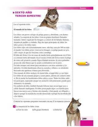 299
ESPAÑOL
Lee el siguiente texto:
El mundo de los lobos
Los lobos son perros salvajes de pelaje grueso y abundante, con dientes
aﬁlados. La mayoría de los lobos viven en grupos familiares llamados
manadas. Juntos vagan por los bosques y a través de las heladas llanuras,
alejados de pueblos y ciudades. Hay dos tipos principales de lobos: los
lobos grises y los lobos rojos.
Los lobos rojos son extremadamente raros, solo hay cerca de 300 en todo
el mundo. Los lobos grises viven en los bosques, su pelaje puede ser gris,
café o negro, lo que les funciona como camuﬂaje.
El lobo del Ártico vive en zonas de mucho hielo, principalmente en el Árti-
co, extremo norte del mundo. En el verano el lobo del Ártico tiene el pelaje
de color café grisáceo, cuando llega el helado invierno, le crece pelambre
grueso de color blanco que lo ayuda a confundirse con la nieve.
Un lobo siempre está atento para encontrarse con otros animales y co-
mérselos. Un lobo hambriento observa, escucha y olfatea a su alrededor,
buscando una apetitosa criatura para devorarla.
Una manada de lobos incluye a la mamá loba, al papá lobo y a sus hijos.
Los lobos de una manada juegan y cazan juntos, además de cuidarse entre
sí. Por la noche los hambrientos lobos salen a cazar. Todos los lobos adul-
tos participan, esperando atrapar un animal lo suﬁcientemente grande para
alimentar a la manada.
Un cachorro de lobo, también llamado lobezno nace en un lugar seco y
cálido llamado madriguera. Un lobo joven puede dejar a su familia para
buscar una nueva casa y formar otra manada, o bien puede ser obligado a
alejarse porque la manada ha crecido demasiado o porque ha desobedecido
a los líderes.
Contesta las siguientes preguntas marcando con una X la respuesta correcta:
1 La mayoría de los lobos viven:
SEXTO AÑO
TERCER BIMESTRE
a) Con los osos b) En grupos familiares c) Solitarios
ESTRE
rrecta:
 