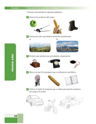 EXÁMENES
44
PRIMERAÑO Contesta correctamente las siguientes preguntas.
1 Encierra los productos del campo.
2 Encierra de color rojo donde el medio fue transformado.
3 Producto que satisface una necesidad de comunicación.
4 Marca con una X los productos que se elaboran en una fábrica.
5 Colorea el medio de transporte que se utiliza para traer los productos
del campo a la ciudad.
CONOCIMIENTO DEL MEDIO/QUINTO BIMESTRE
a) b)
 