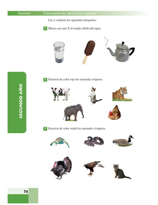 EXÁMENES
74
SEGUNDOAÑO Lee y contesta las siguientes preguntas:
1 Marca con una X el estado sólido del agua.
2 Encierra de color rojo los animales ovíparos.
3 Encierra de color verde los animales vivíparos:
CONOCIMIENTO DEL MEDIO/CUARTO BIMESTRE
 