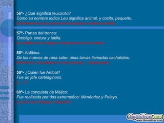 56ª- ¿Qué significa leucocito?
Como su nombre indica Leu significa animal, y cocito, pequeño.
(Obviamente, hay que ser tonto para no darse cuenta)

57ª- Partes del tronco:
Ombligo, cintura y tetilla.
(La tetilla es un órgano vital para el ser humano)

58ª- Anfibios:
De los huevos de rana salen unas larvas llamadas cachalotes.
(Mmmmh, cachalotes en las charcas... interesante)

59ª- ¿Quién fue Aníbal?
Fue un jefe cartilaginoso.
(¡¡ !!)

60ª- La conquista de Méjico:
Fue realizada por dos extremeños: Menéndez y Pelayo.
(¿O tal vez Ortega y Gasset?)
 