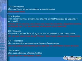 31ª- Monotremas:
Son mamíferos de forma humana, y son los monos.
(Que quede claro)

32ª- Reptiles:
Son animales que se disuelven en el agua. Un reptil peligroso de España es
el cocodrilo.
(Al lado de mi casa hay una charca con mazo de cocodrilos, plagaditos estamos
en España oye. Y sí, los cabrones se disuelven como aspirinas)

33ª- Volcanes:
En Mallorca está el Teide. El agua de mar se solidifica y sale por el cráter.
(Si, ese que esta al lado de los Pirineos. Salen hasta pulpos en las erupciones)

34ª- Terremotos:
Son movimientos bruscos que se tragan a las personas.
(No me gustaría encontrarme por la calle con un movimiento brusco de esos)

35ª- Arterias:
Son unos tubitos de plástico flexibles.
(Yo ya nací con marcapasos y todo)
 
