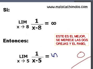 ESTE ES EL MEJOR, SE MERECE LAS DOS OREJAS Y EL RABO,  