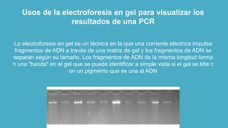 Usos de la electroforesis en gel para visualizar los
resultados de una PCR
La electroforesis en gel es un técnica en la que una corriente eléctrica impulsa
fragmentos de ADN a través de una matriz de gel y los fragmentos de ADN se
separan según su tamaño. Los fragmentos de ADN de la misma longitud forma
n una "banda" en el gel que se puede identificar a simple vista si el gel se tiñe c
on un pigmento que se una al ADN
 