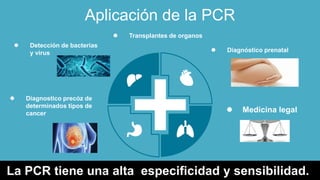 Aplicación de la PCR
 Detección de bacterias
y virus
 Diagnostico precóz de
determinados tipos de
cancer
 Diagnóstico prenatal
 Transplantes de organos
 Medicina legal
La PCR tiene una alta especificidad y sensibilidad.
 