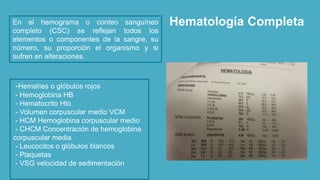 Hematología CompletaEn el hemograma o conteo sanguíneo
completo (CSC) se reflejan todos los
elementos o componentes de la sangre, su
número, su proporción el organismo y si
sufren en alteraciones.
-Hematíes o glóbulos rojos
- Hemoglobina HB
- Hematocrito Hto
- Volumen corpuscular medio VCM
- HCM Hemoglobina corpuscular medio
- CHCM Concentración de hemoglobina
corpuscular media
- Leucocitos o glóbulos blancos
- Plaquetas
- VSG velocidad de sedimentación
 