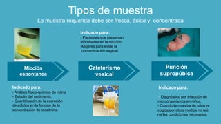 Tipos de muestra
La muestra requerida debe ser fresca, ácida y concentrada
Micción
espontanea
Cateterismo
vesical
Punción
supropúbica
- Análisis físico-químico de rutina
- Estudio del sedimento.
- Cuantificacón de la excreción
de solutos en la función de la
concentración de creatinina.
Indicado para:
- Diagnóstico por infección de
microorganismos en niños.
- Cuando la muestra de orina re
cogida por otros medios no reú
na las condiciones necesarias.
Indicado para:
- Pacientes que presentan
dificultades en la micción.
-Mujeres para evitar la
contaminación vaginal.
Indicado para:
 