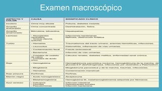 Examen macroscópico
ASPECTO Y
COLOR
CAUSA SIGNIFICADO CLÍNICO
Incoloro Orina muy diluida Poliuria, diabetes insípida.
Amarillo
anaranjado
Orina concentrada Deshidratación, fiebre.
Amarillo
amarronado
Bilirrubina, biliverdina. Hepatopatías.
Lechoso - Abundantes
neutrófilos
- Grasas (lipuria,
quiluria)
Infecciones bacterianas
Nefrosis, obstrucción linfática
Turbio - Hematíes Traumatismos del tracto urinario, anemias hemolíticas, infecciones.
- Leucocitos Pielonefritis, inflamación de vías urinarias.
- Contaminación fecal Fístula rectovesical.
- Bacteriuria Infección de vías urinarias.
- Cristales de oxalato
de calcio
- Cristales de ácido
úrico.
Cálculos renales, diabetes mellitus, enfermedad renal crónica.
Rojo - Hemoglobina Hemoglobinuria paroxística nocturna, hemoglobinuria de la marcha, défici
glucosa 6-P deshidrogenasa, infecciones por clostridios y Plasmodium fal
- Mioglobina Mioglobinuria paroxística y de la marcha, traumas, infecciones.
- Hematíes. Contaminación menstrual.
Rojo púrpura Porfirinas Porfirias.
Marrón negro - Acido homogentísico Alcaptonuria
- Metahemoglobina Hemoglobina M, metahemoglobinemia adquirida por fármacos.
Azul verdoso - Indicanos
- Clorofila
- Pseudomonas
Infección intestinal
Desodorantes bucales
Infección bacteriana.
 