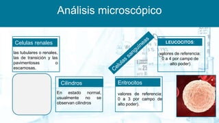 Análisis microscópico
LEUCOCITOS:
valores de referencia:
0 a 4 por campo de
alto poder)
Eritrocitos
valores de referencia:
0 a 3 por campo de
alto poder).
Celulas renales
las tubulares o renales,
las de transición y las
pavimentosas o
escamosas.
Cilindros
En estado normal,
usualmente no se
observan cilindros
 