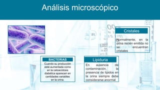 Análisis microscópico
Cristales
BACTERIAS
Cuando su producción
está aumentada como
en la cetoacidosis
diabética aparecen en
cantidades variables
en la orina.
.
Normalmente, en la
orina recién emitida no
se encuentran
cristales
Lipiduria
En ausencia de
contaminación, la
presencia de lípidos en
la orina siempre debe
considerarse anormal
 