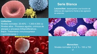 Leucocitos: desempeñan una función de
defensa del organismo frente a las agresion
es externas
Serie Blanca
Monocitos:
Niveles normales: 2 a 8 % - 100 a 700
ul
Linfocitos:
Niveles normales: 20-40% - 1.300-4.000 /ul
Niveles altos : Procesos agudos, crónicos de
alergias y procesos linfoproliferativos .
Bajos: Tratamiento inmunosupresor
( quimioterapias )
 