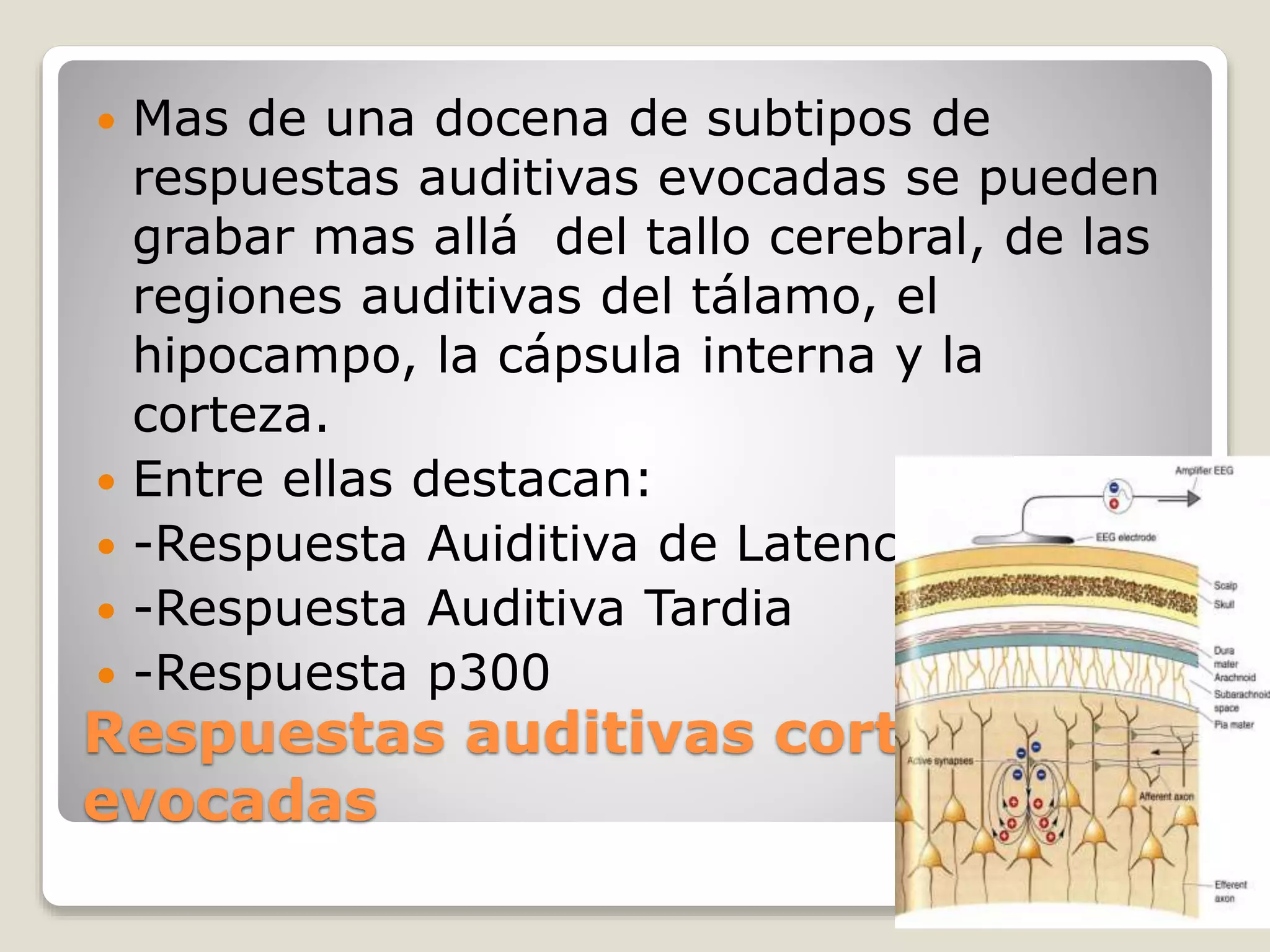Respuestas auditivas corticales
evocadas
 Mas de una docena de subtipos de
respuestas auditivas evocadas se pueden
grabar mas allá del tallo cerebral, de las
regiones auditivas del tálamo, el
hipocampo, la cápsula interna y la
corteza.
 Entre ellas destacan:
 -Respuesta Auiditiva de Latencia Media
 -Respuesta Auditiva Tardia
 -Respuesta p300
 