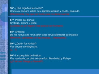 56ª-  ¿Qué significa leucocito? Como su nombre indica Leu significa animal, y cocito, pequeño. (Obviamente, hay que ser tonto para no darse cuenta) 57ª-  Partes del tronco: Ombligo, cintura y tetilla. (La tetilla es un órgano vital para el ser humano) 58ª-  Anfibios: De los huevos de rana salen unas larvas llamadas cachalotes. (Mmmmh, cachalotes en las charcas... interesante) 59ª-  ¿Quién fue Aníbal? Fue un jefe cartilaginoso. (¡¡  !!) 60ª-  La conquista de Méjico: Fue realizada por dos extremeños: Menéndez y Pelayo. (¿O tal vez Ortega y Gasset?) 