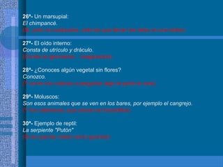 26ª- Un marsupial:
El chimpancé.
(Si, pero no cualquiera, sólo los que llevan las tetas en una bolsa)
27ª- El oído interno:
Consta de utrículo y dráculo.
(Contra la ignorancia... imaginación)
28ª- ¿Conoces algún vegetal sin flores?
Conozco.
(Y como me vuelvas a preguntar algo te parto la cara)
29ª- Moluscos:
Son esos animales que se ven en los bares, por ejemplo el cangrejo.
(Y los calamares, que crecen en bocadillos)
30ª- Ejemplo de reptil:
La serpiente "Putón"
(Si es que las visten como guarras)
 