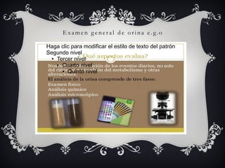 E x am e n g e ne r al d e or ina e. g. o
Haga clic para modificar el estilo de texto del patrón
Segundo nivel
● Tercer nivel
● Cuarto nivel
● Quinto nivel
 