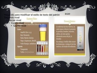 EGOHaga clic para modificar el estilo de texto del patrón
Segundo nivel
● Tercer nivel
● Cuarto nivel
● Quinto nivel
 