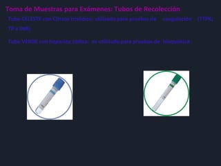 Tubo CELESTE con Citrato trisódico: utilizado para pruebas de caogulación (TTPK;
TP e INR).
Tubo VERDE con heparina sódica: es utilizado para pruebas de bioquímica .
Toma de Muestras para Exámenes: Tubos de Recolección
 