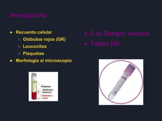 Hemograma
● Recuento celular
○ Glóbulos rojos (GR)
○ Leucocitos
○ Plaquetas
● Morfología al microscopio
● 2 cc Sangre venosa
● Tapón lila
 