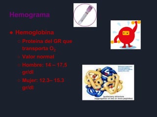 Hemograma
● Hemoglobina
○ Proteína del GR que
transporta O2
○ Valor normal
○ Hombre: 14 – 17,5
gr/dl
○ Mujer: 12.3– 15.3
gr/dl
 